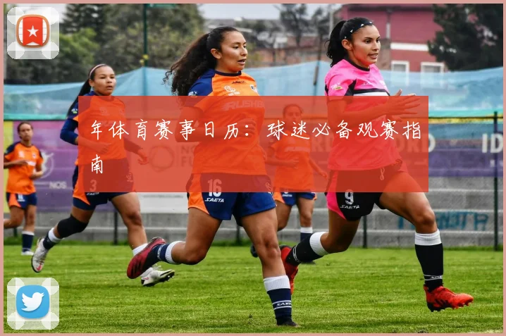 年体育赛事日历：球迷必备观赛指南