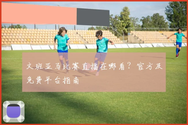 文班亚马比赛直播在哪看？官方及免费平台指南